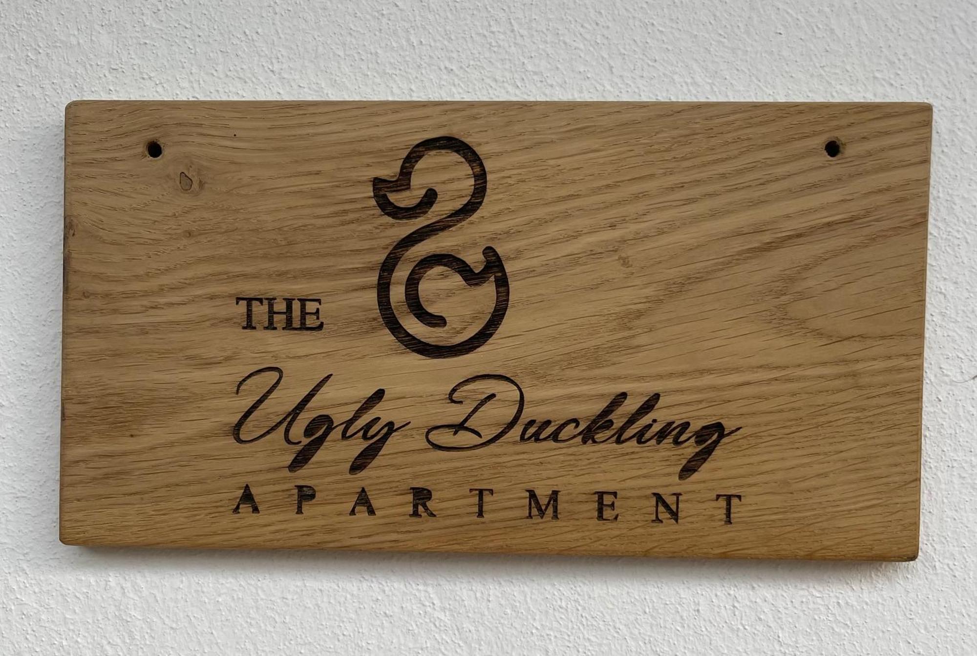 The Ugly Duckling Apartment Dormelletto Exterior photo